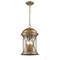 Homeroots 18.5 x 11 x 11 in. Lincoln 4-Light Antique Brass Hanging Light 397955 - alternate 2